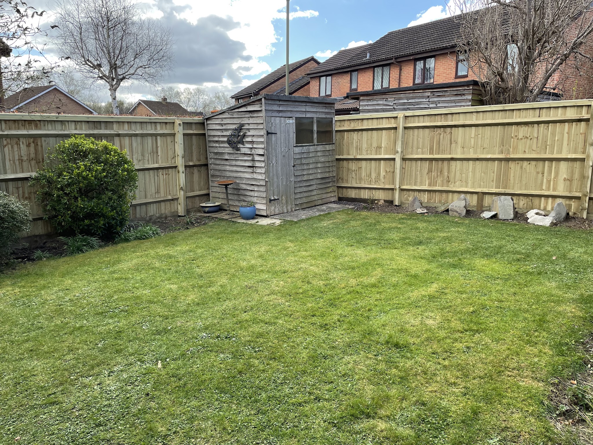 A rear garden with new close-board fencing on three sides, a lawn and a shed