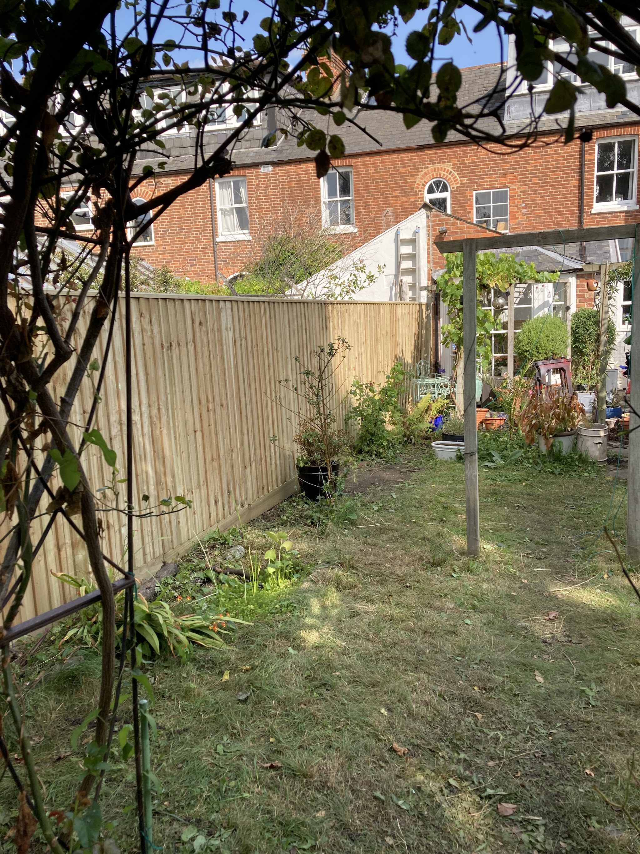 New fencing along a cottage garden